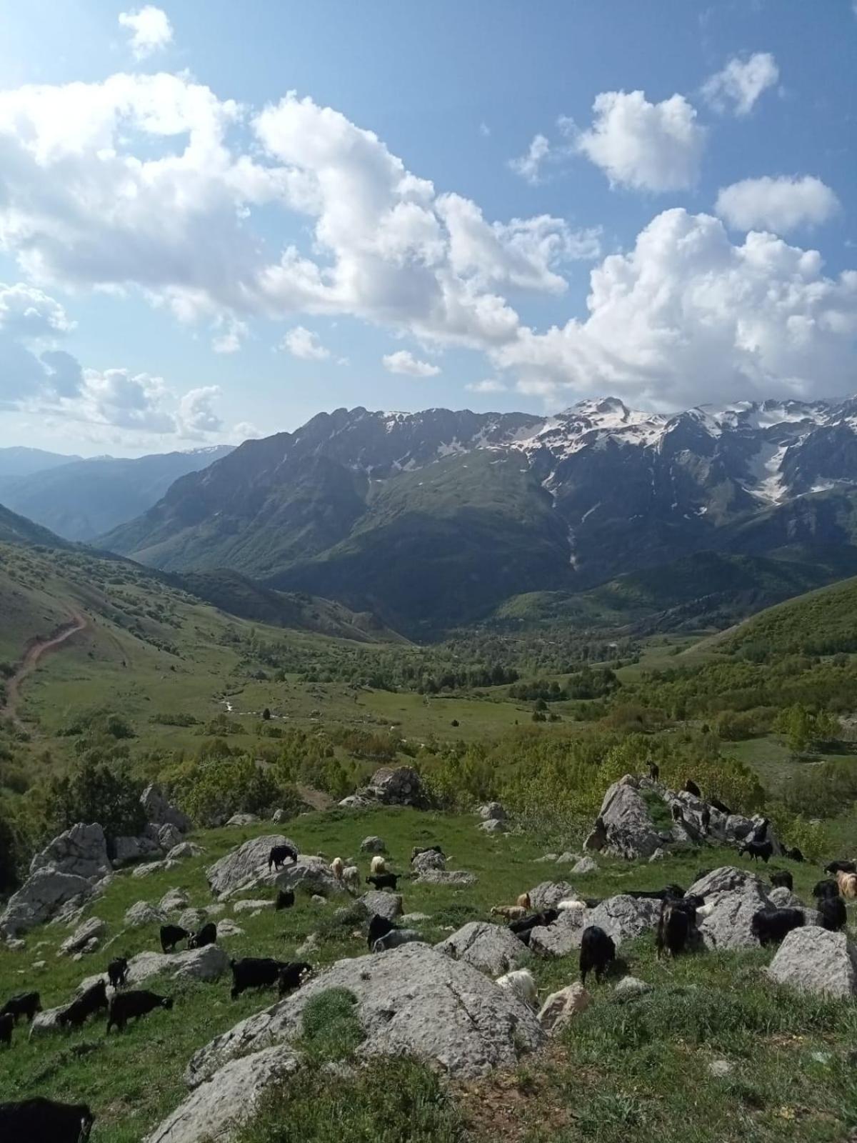 Askireg Hotel Tunceli 外观 照片