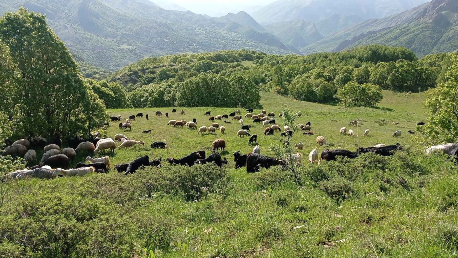 Askireg Hotel Tunceli 外观 照片